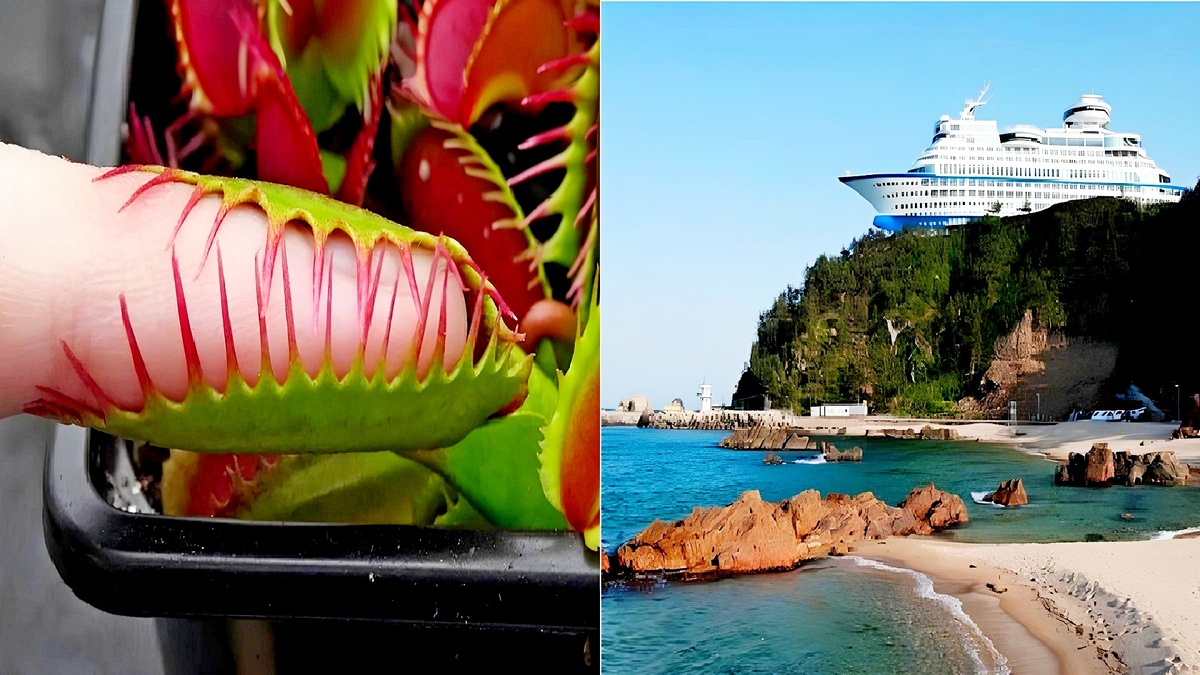 25 немыслимых фотофактов, которые заставят вас потерять дар речи