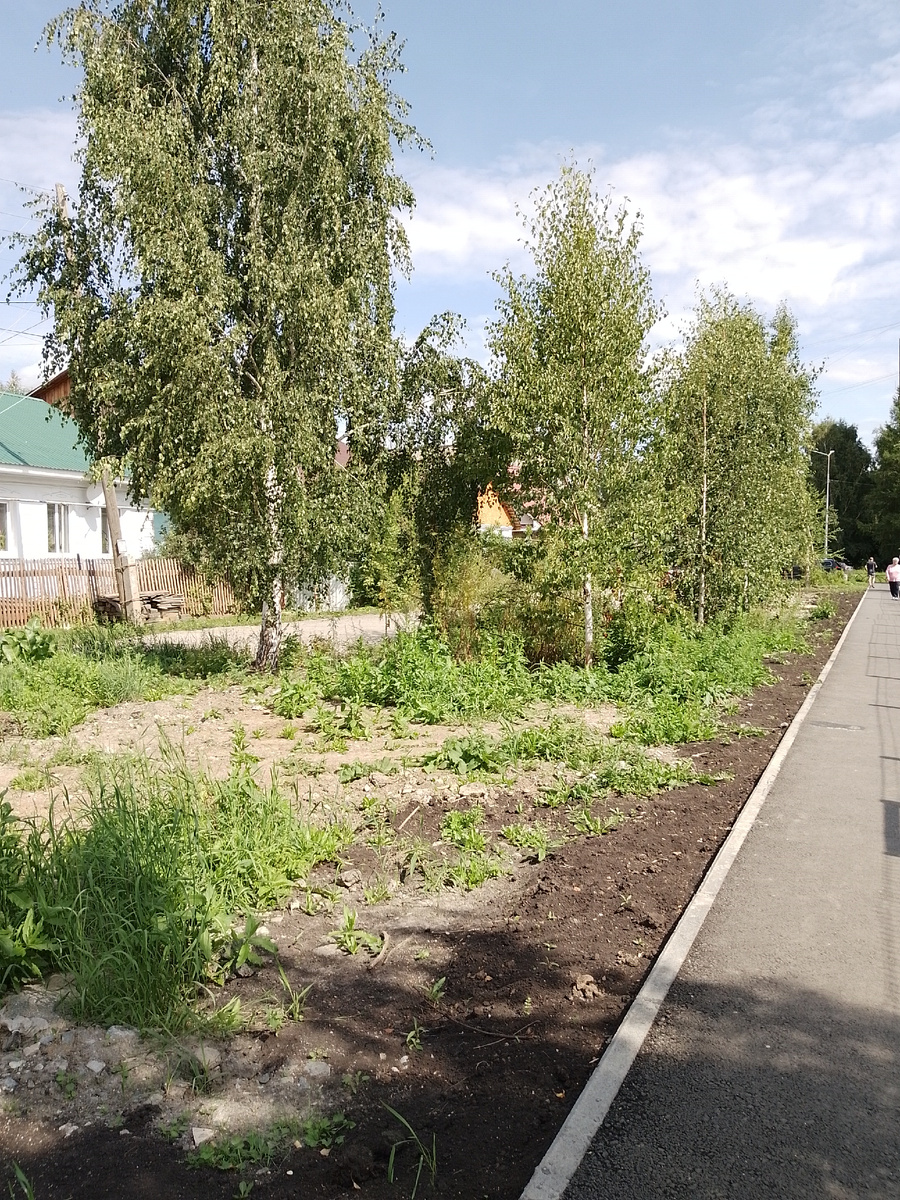Солнечный день