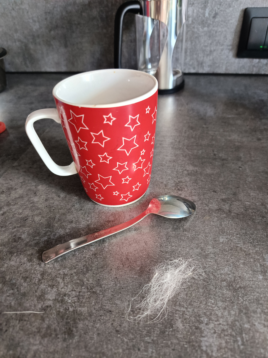 Белая шерсть Банни на кухне повсюду😂