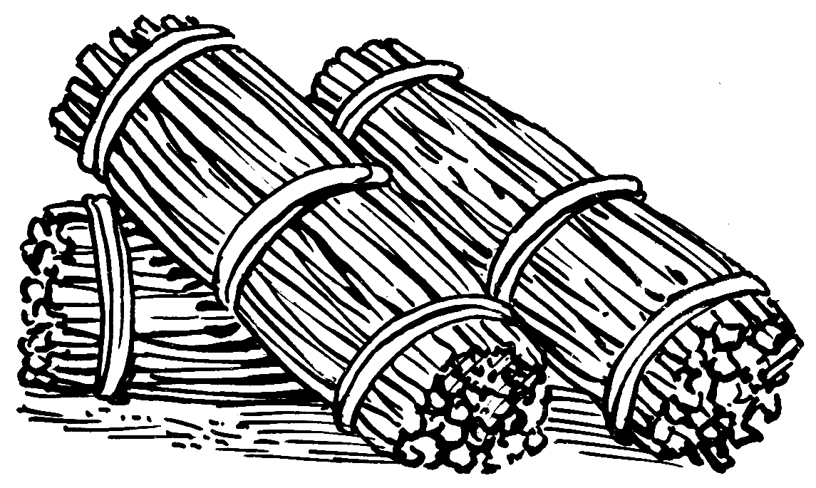 нем. Faschine от лат. fascis — «связка прутьев, пучок»