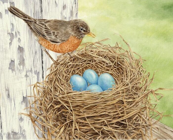 Кувалда, от французского couvade означает высиживание яиц.