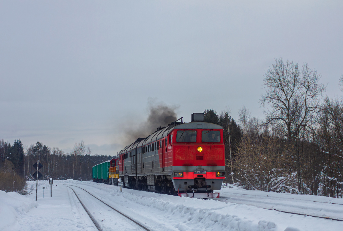 Тепловоз 2ТЭ116-1349 с грузовым составом и перегоняемым тепловозом ЧМЭ3. 🚂ТЧЭ-18 Дно.