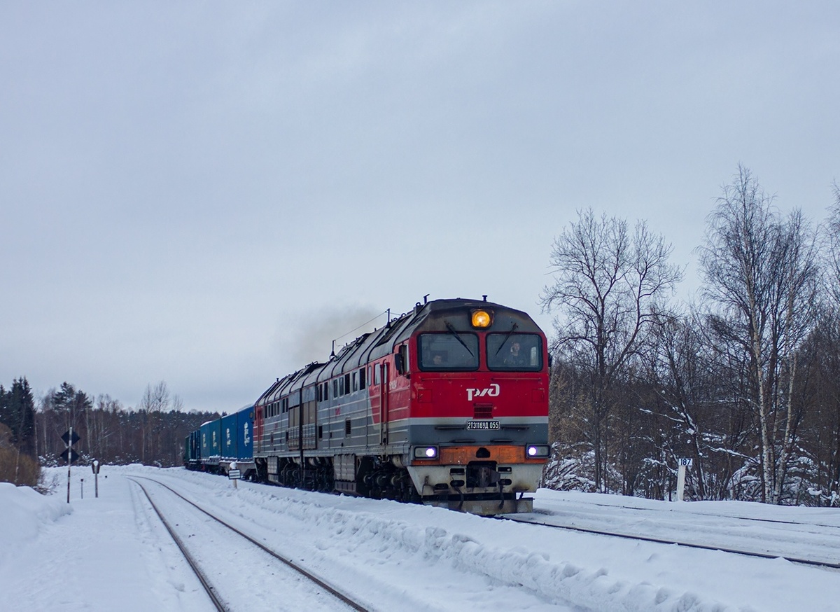 Тепловоз 2ТЭ116УД-055 с грузовым контейнерным составом. 🚂ТЧЭ-5 Иваново.