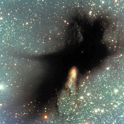 Глобула в молекулярном облаке BHR71