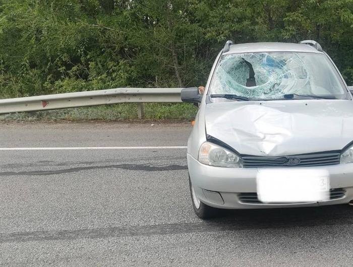    ФОТО: ГУ МВД по Самарской области