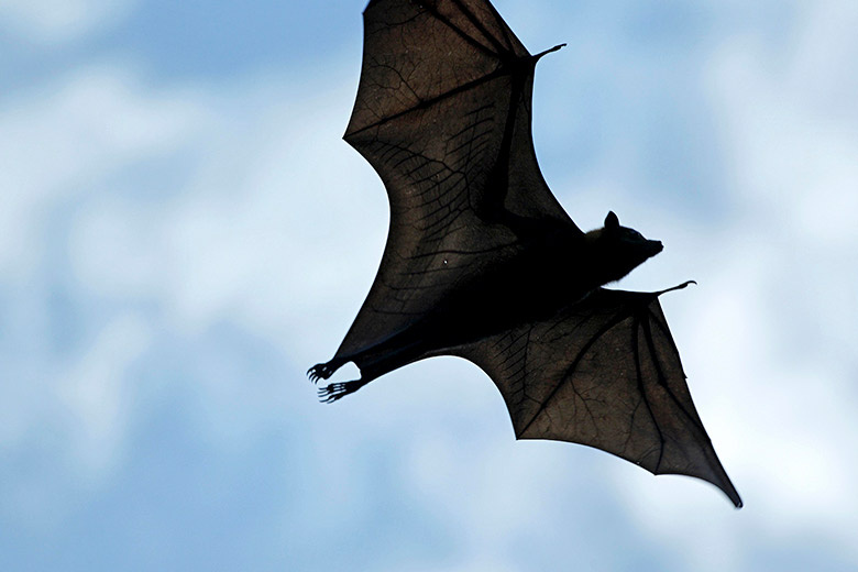    Paul Mayall/Global Look Press