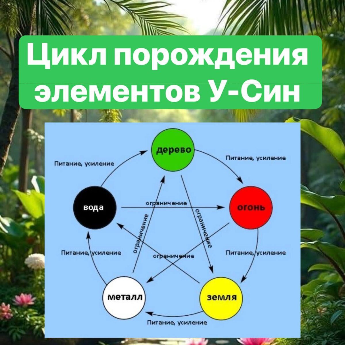 Цикл порождения элементов У-Син