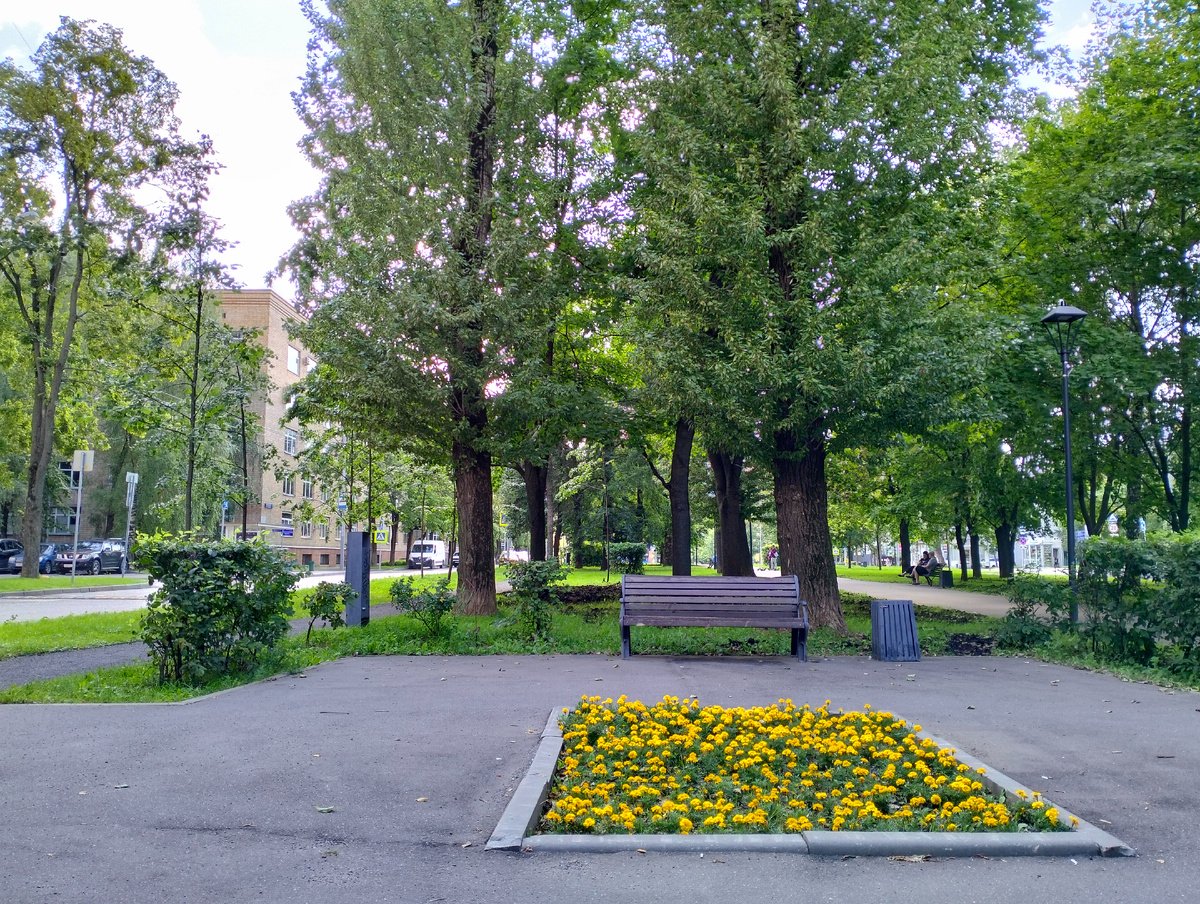 Это просто кусочек жизни, который виден с той лавочки, где я сегодня сижу