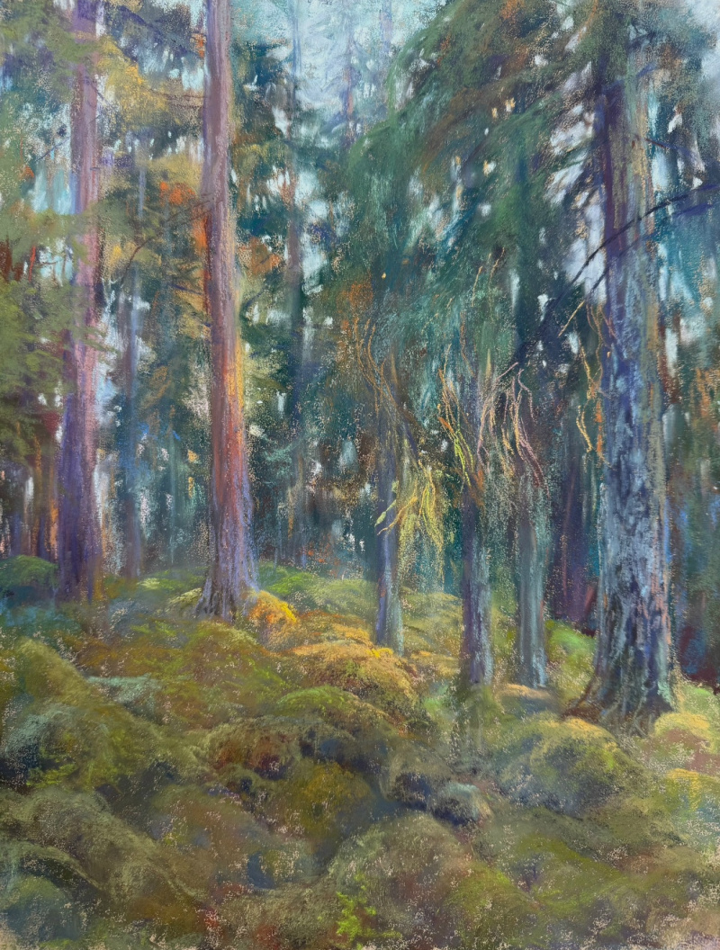    Художница из Санкт-Петербурга написала пейзажи в КарелииЛада Улитина