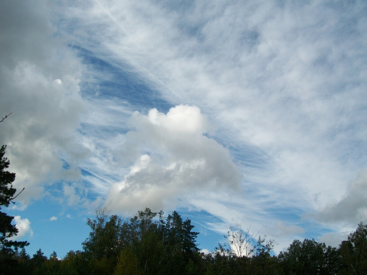 Небо над нашим СНТ