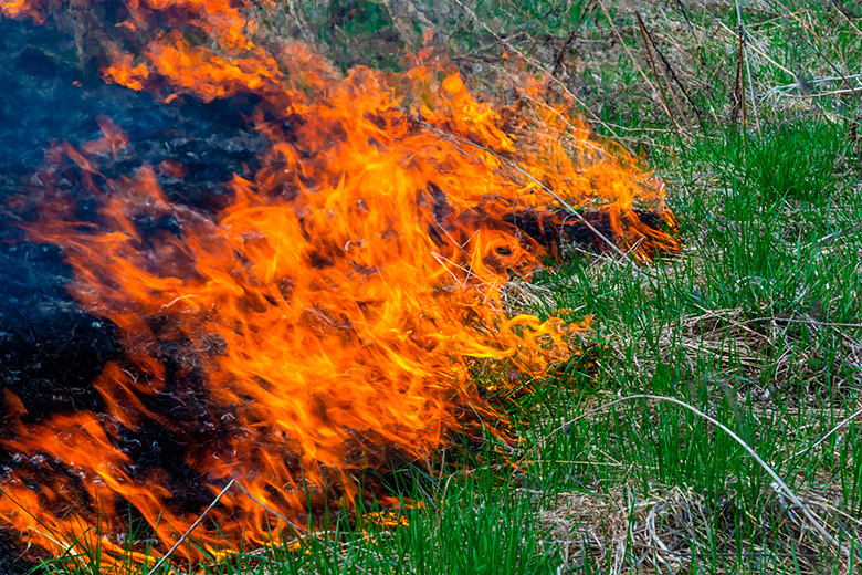    Shutterstock/FOTODOM