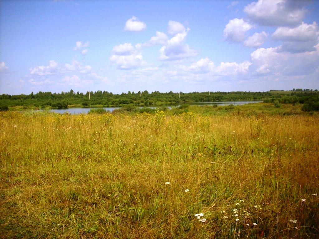 Глазов, 2009, фото автора