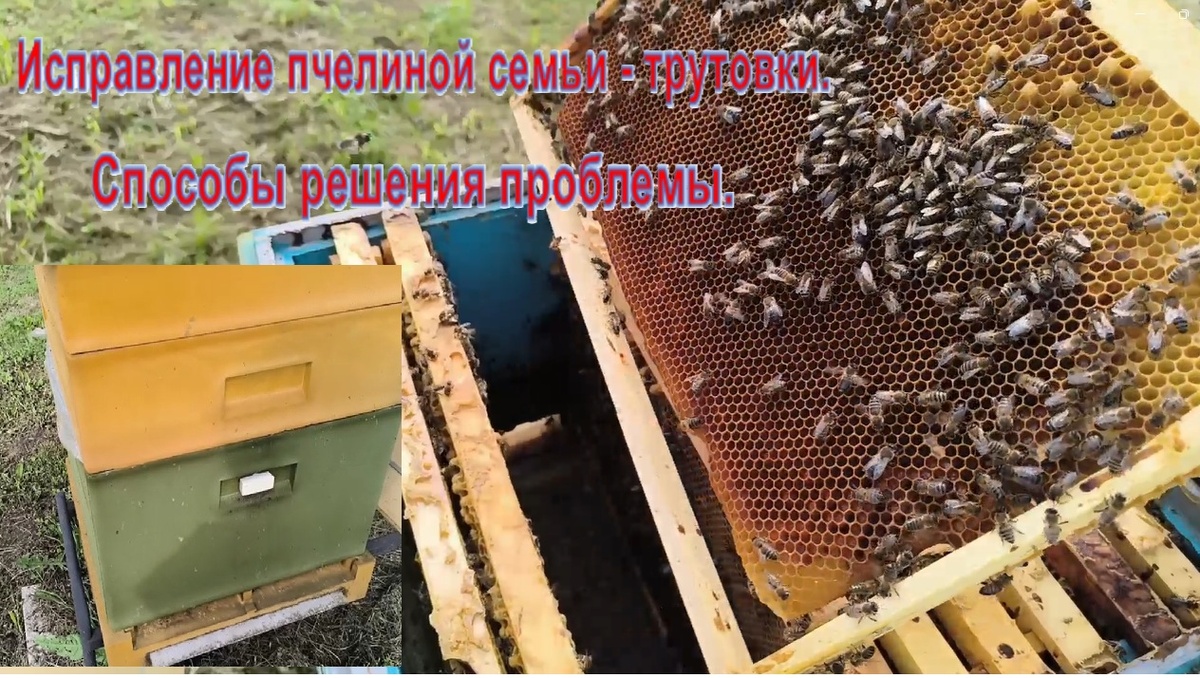 фото из личного архива