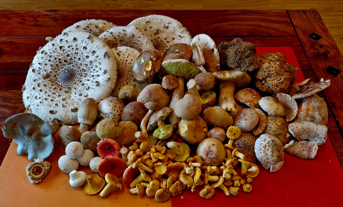 9 августа 2025