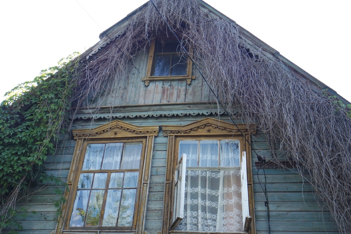 будто волосы Бабы-Яги! - классно же!..