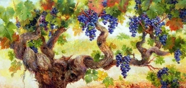 В кожице, косточках и мякоти винограда технических сортов содержатся все необходимые вещества