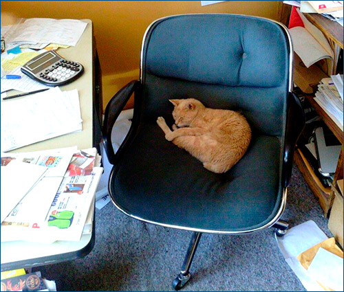 Стаббс на рабочем месте