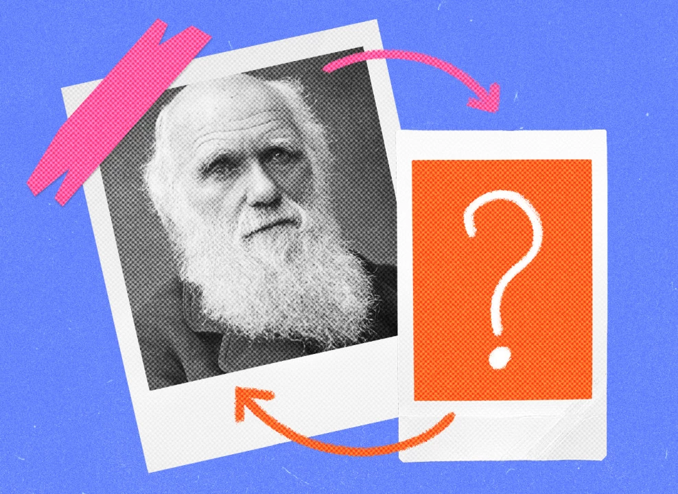 Коллаж с фото общественного достояния | Автор фото: Герберт Роуз Барро