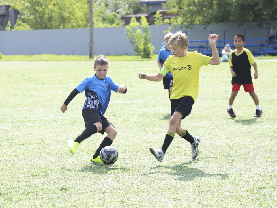    Фото: Администрация муниципального округа Шатура