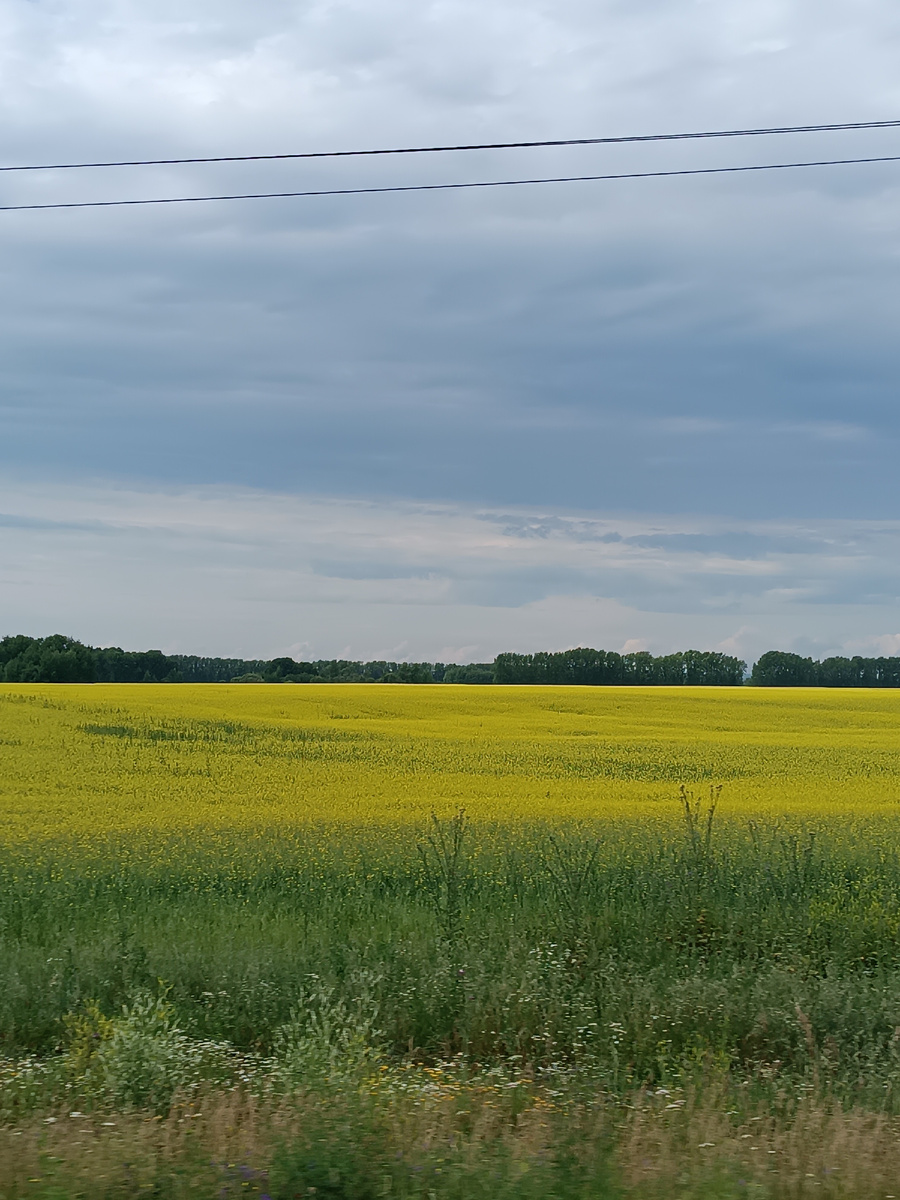 Не юга, но красота полей не хуже