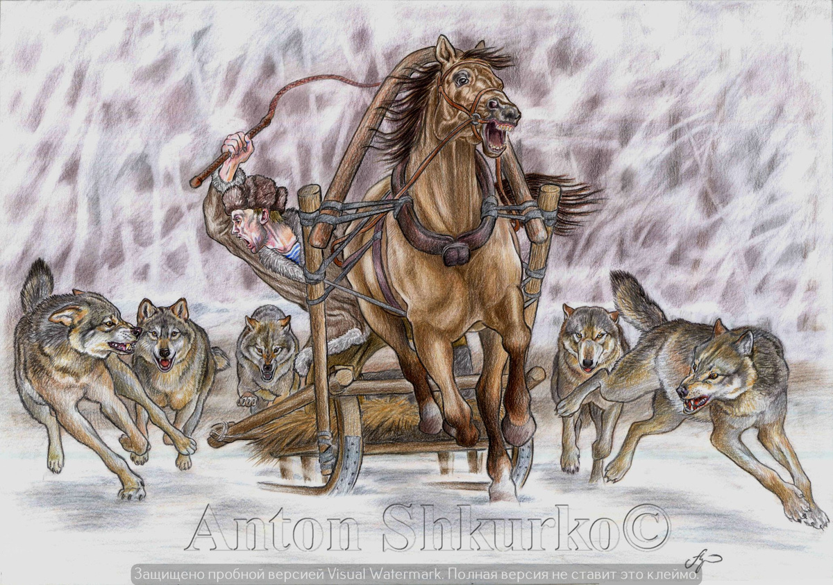 «Волки. Василия Шукшина» графика. Цветной карандаш, бумага. Размер оригинала 450х620. 