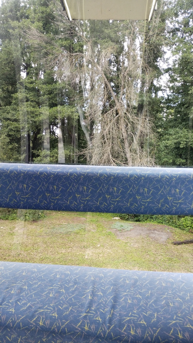 Мягкие лавочки