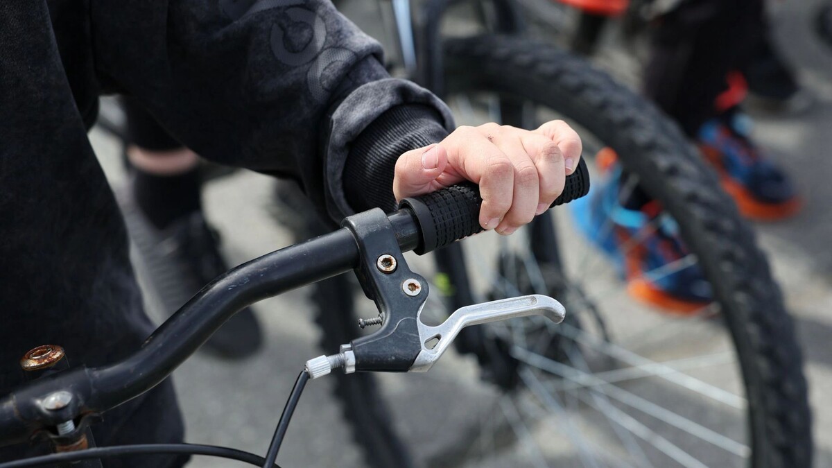    Фото: Андрей Ткачев / «Ямал-Медиа»