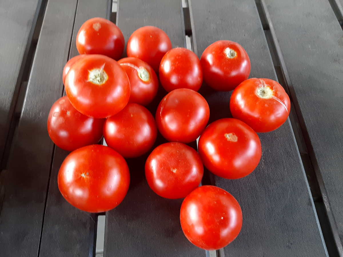 Любимый безымянный сорт