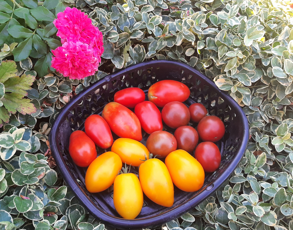 Это для развлечения