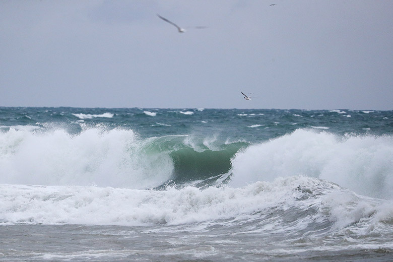    Сергей Петров/NEWS.ru