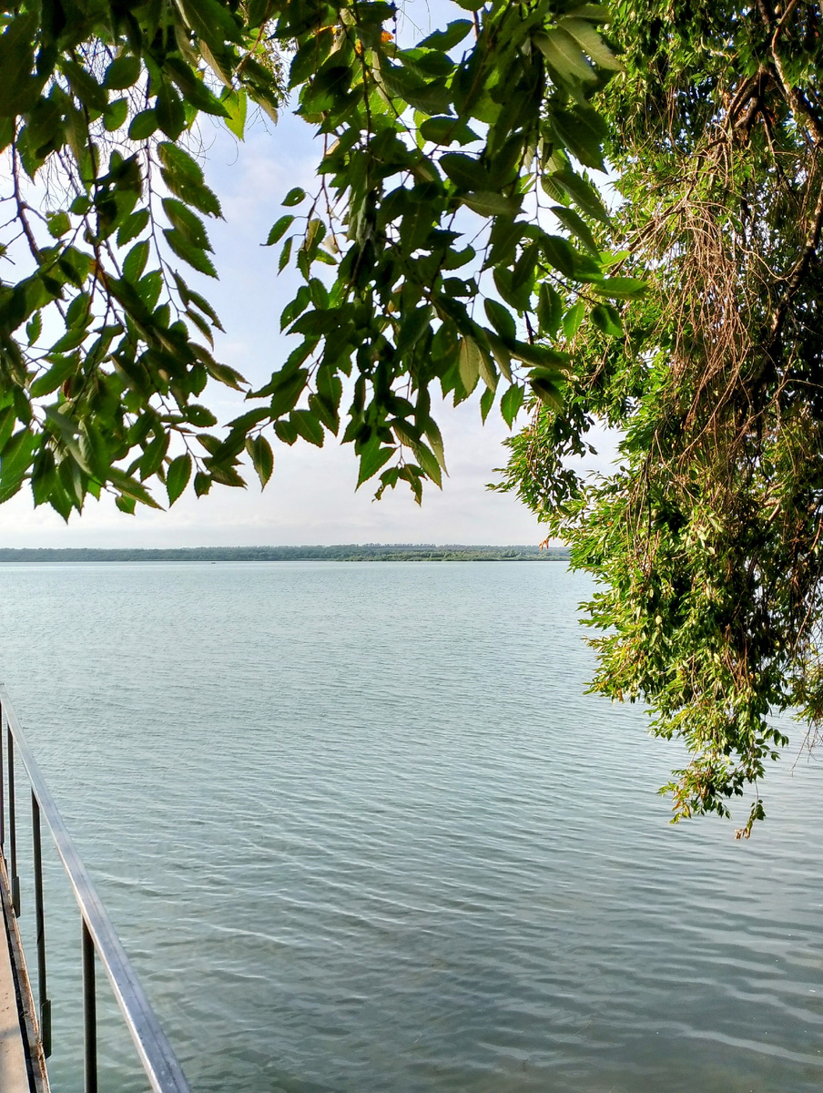 Местечко, куда я езжу поплавать 