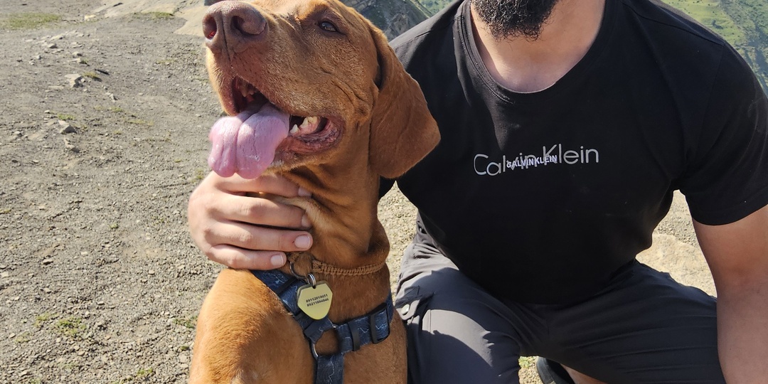 Как в Дагестане относятся к собакам? Наши наблюдения за 2,5 месяца путешествий