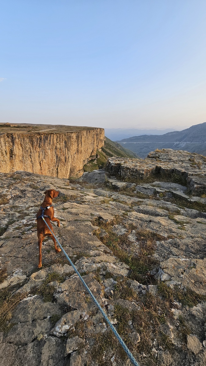 Хунзах, наш пёс Укроп на краю Цолотлинского каньона