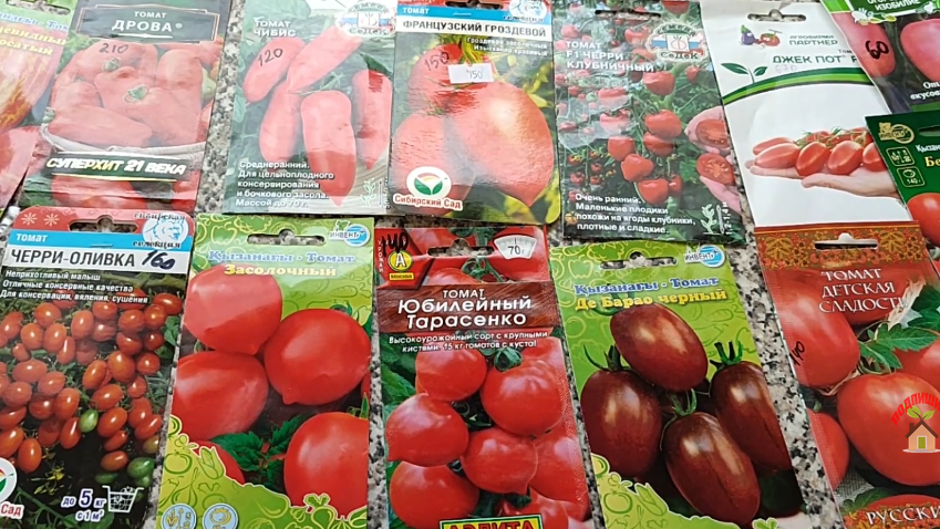 Томаты для засолки