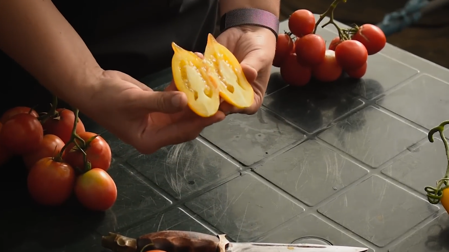 Идеальный засолочный томат: плотная мякоть и минимум семенных камер