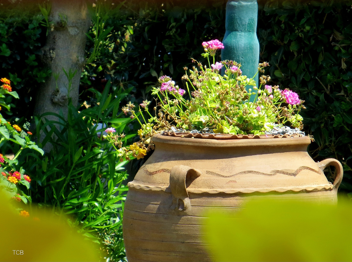 Автор фото: Татьяна Ветрова