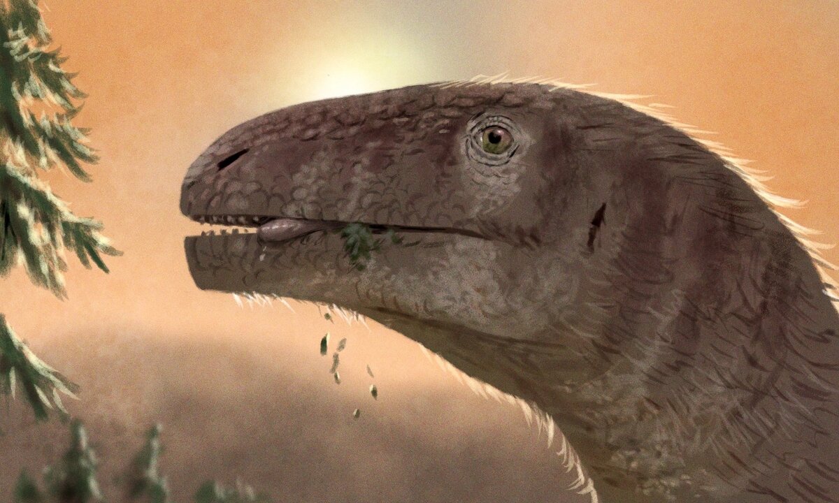 Платеозавр жует хвою. Арт от Literally Miguel.