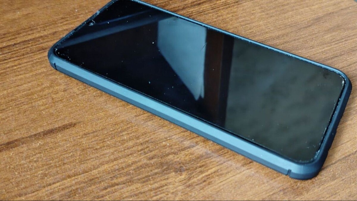    Фото: телеканал «Краснодар»