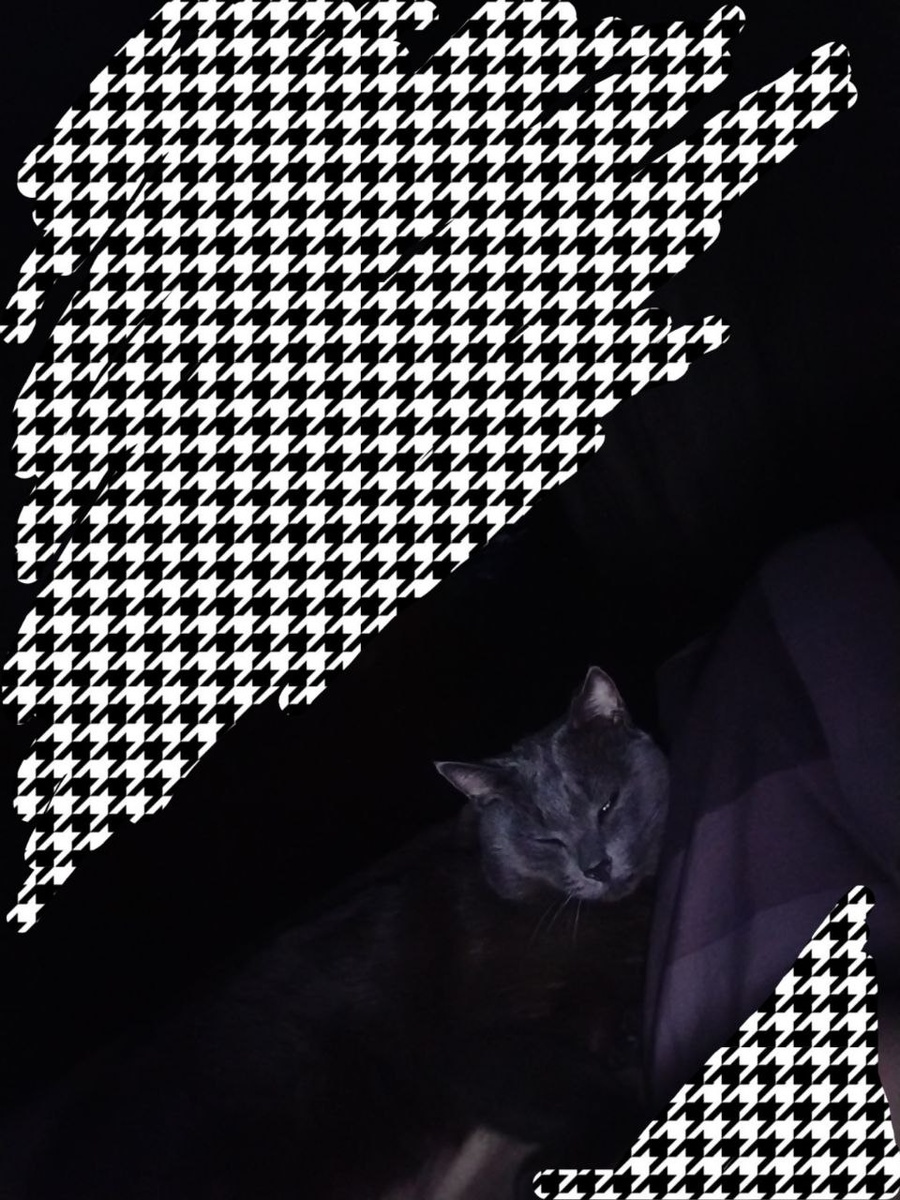  Автор фото канал ФИФТИxФИФТИ, Зюбка спать пытается а я не даю ему спать)