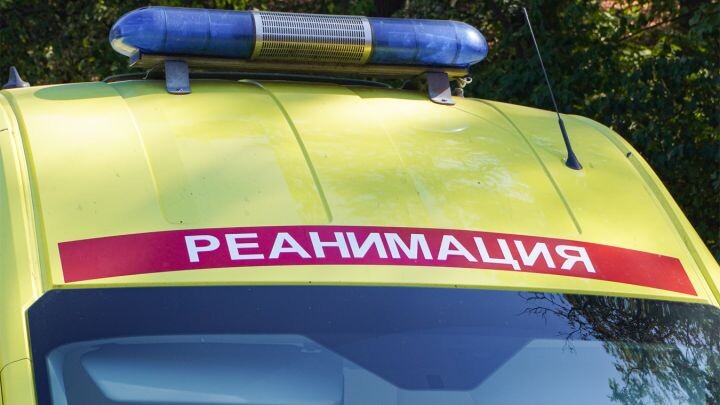    Фото: сгенерировано ии