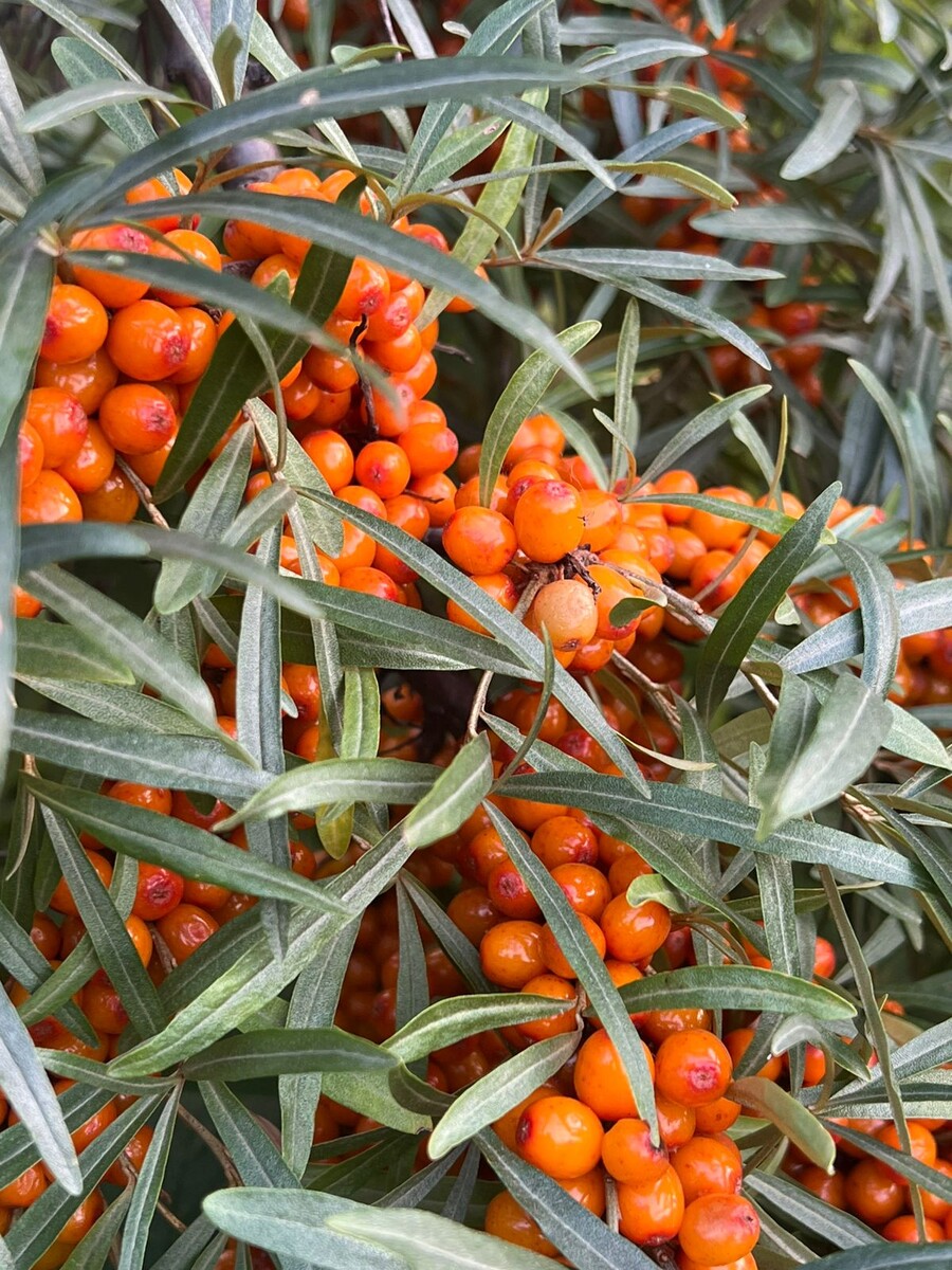 Счастье в мелочах 🤍 