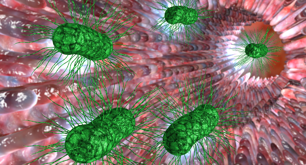 Синдром избыточного бактериального роста в тонком кишечнике: что вам следует знать