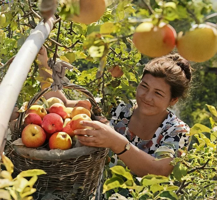 Фотограф: Куйдин Юрий