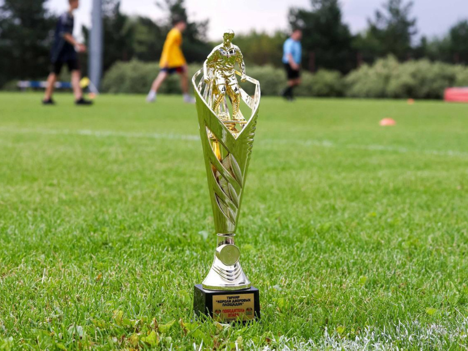    Фото: пресс-служба администрации г.о. Подольск