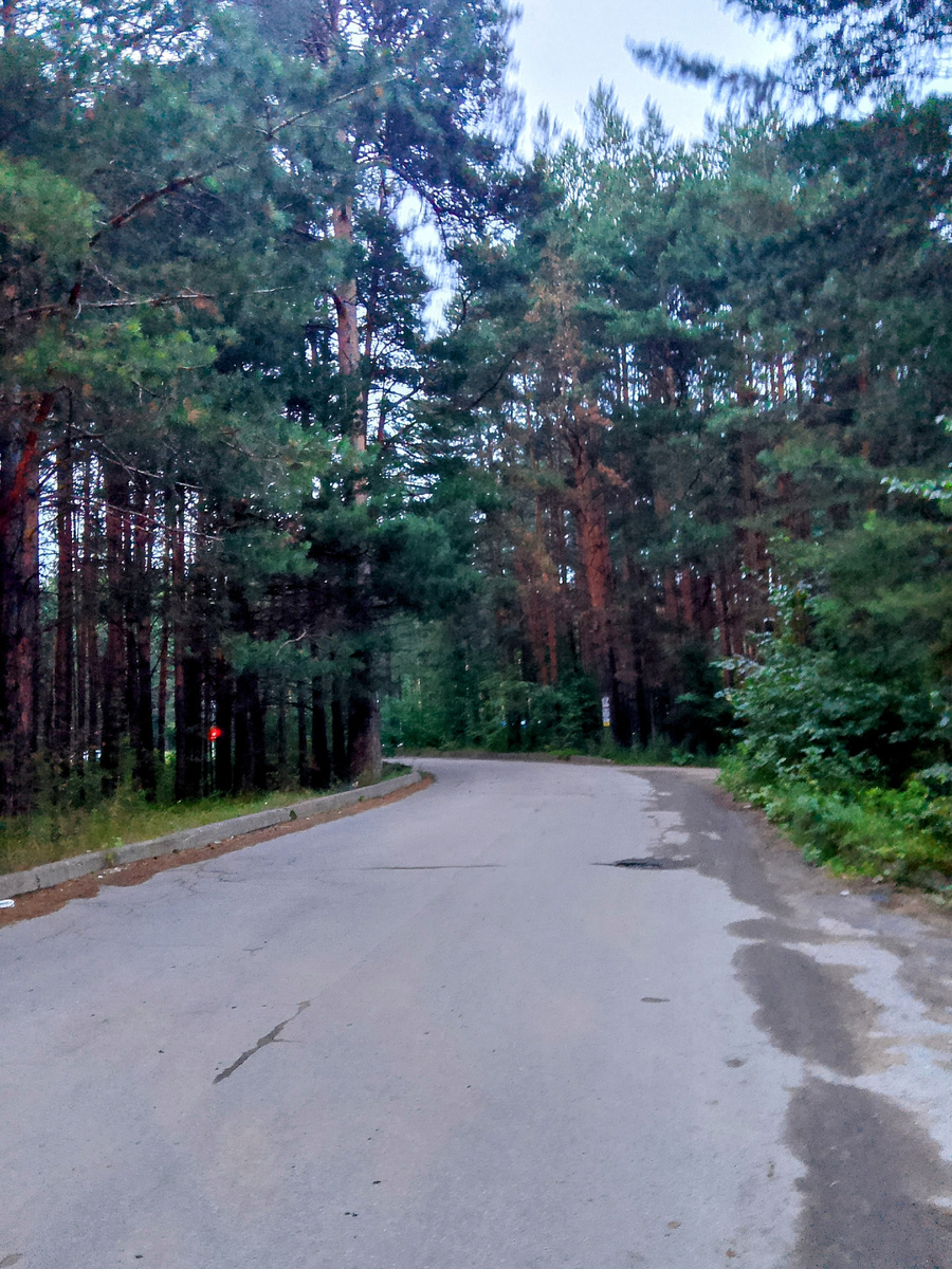 Наша летняя красота 