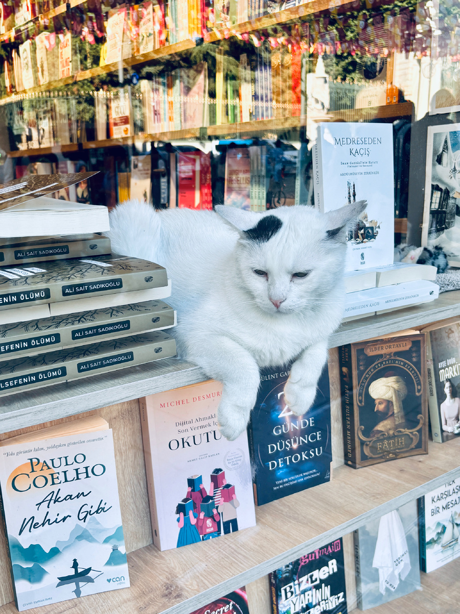 Полноправный хозяин-совладелец книжной лавки лениво наблюдает за фланирующими по Истикляль  