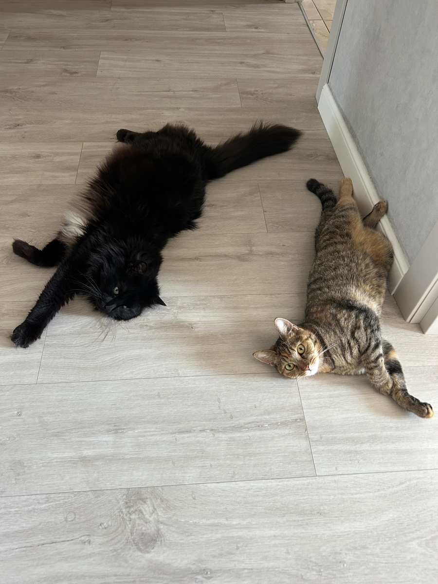 Варя с другом