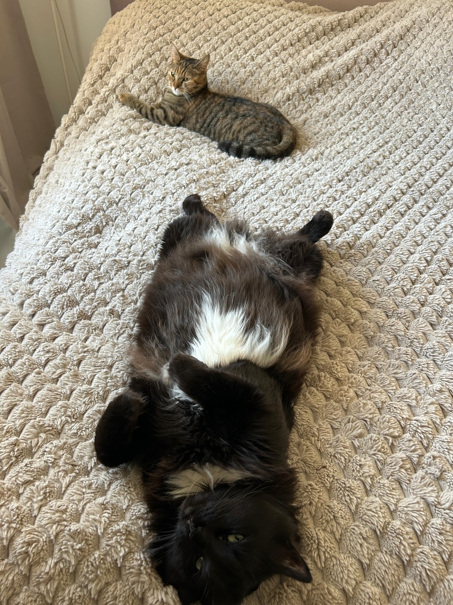 Варя с другом