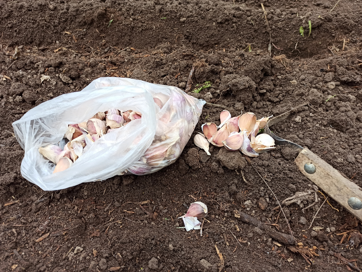 Фото автора. 