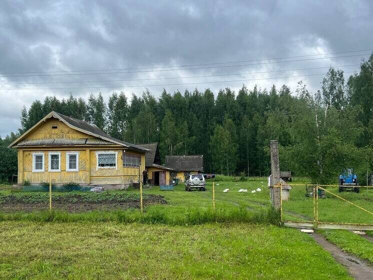     Теперь дачнику грозит 2 года лишения свободы, если он решит вырастить более 10 кустов. Фото: МК в Великом Новгороде